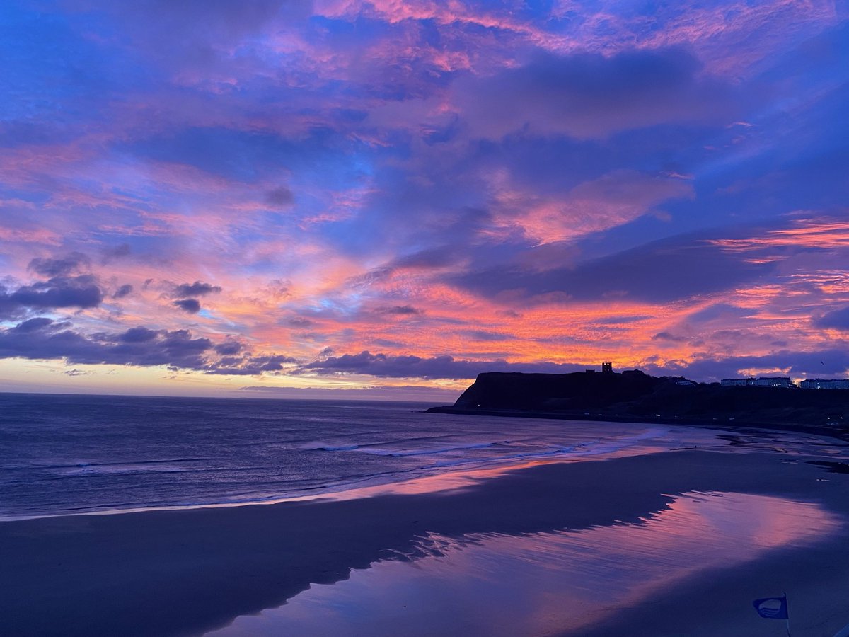 Sarah Roebuck tweet media