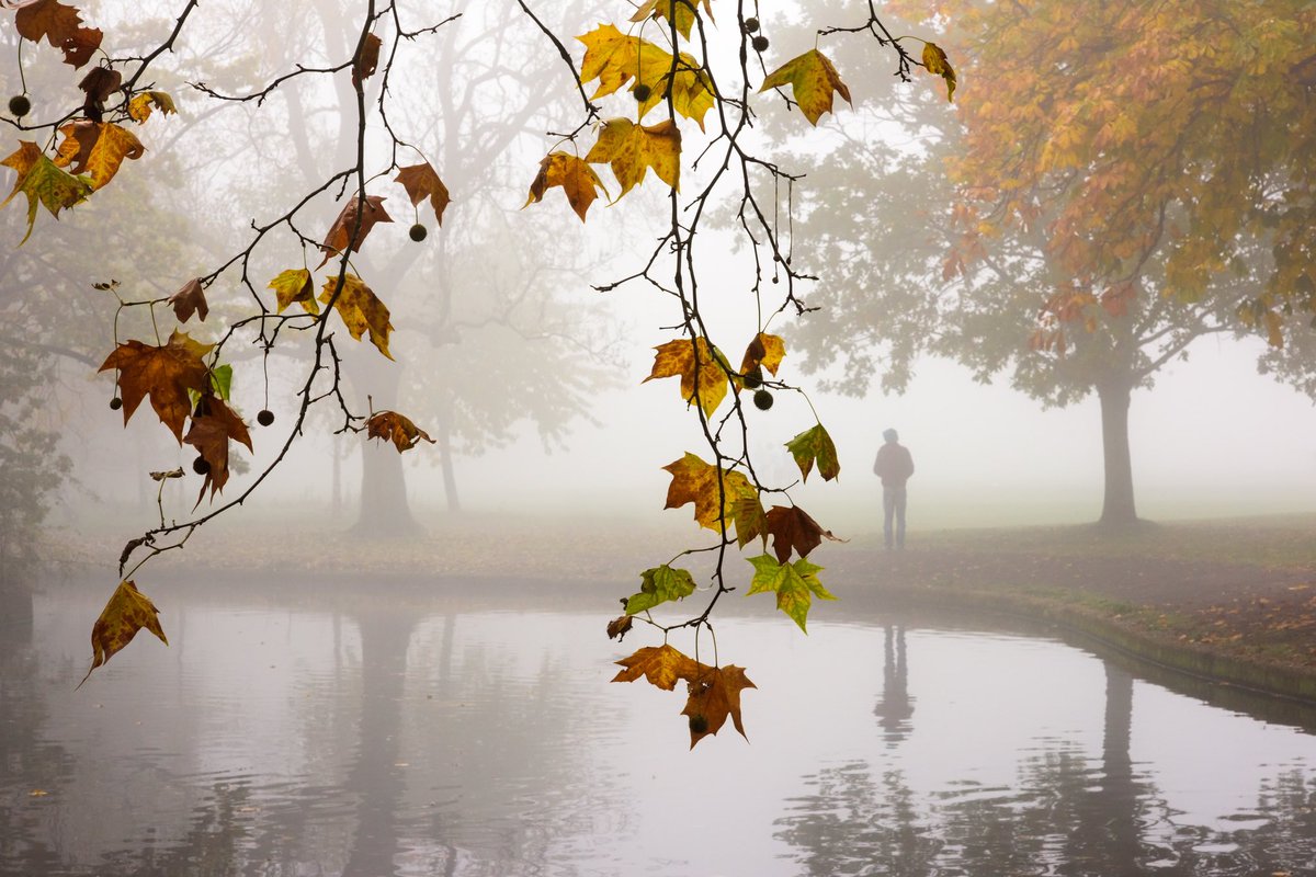 Ida Hollis tweet media