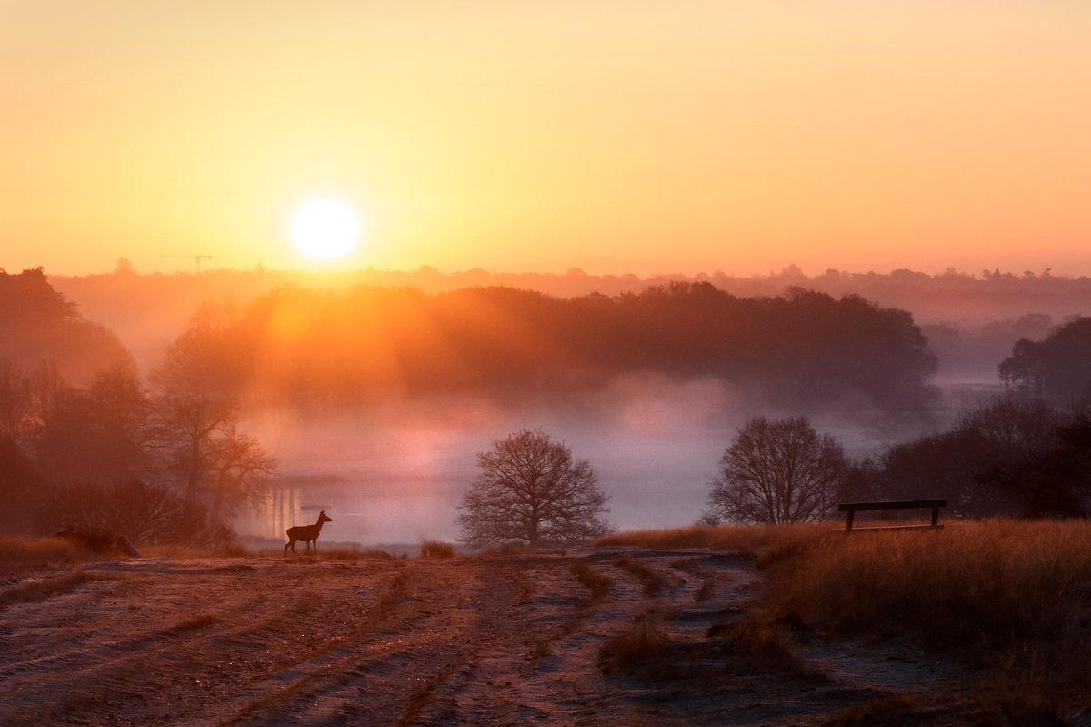 Ida Hollis tweet media