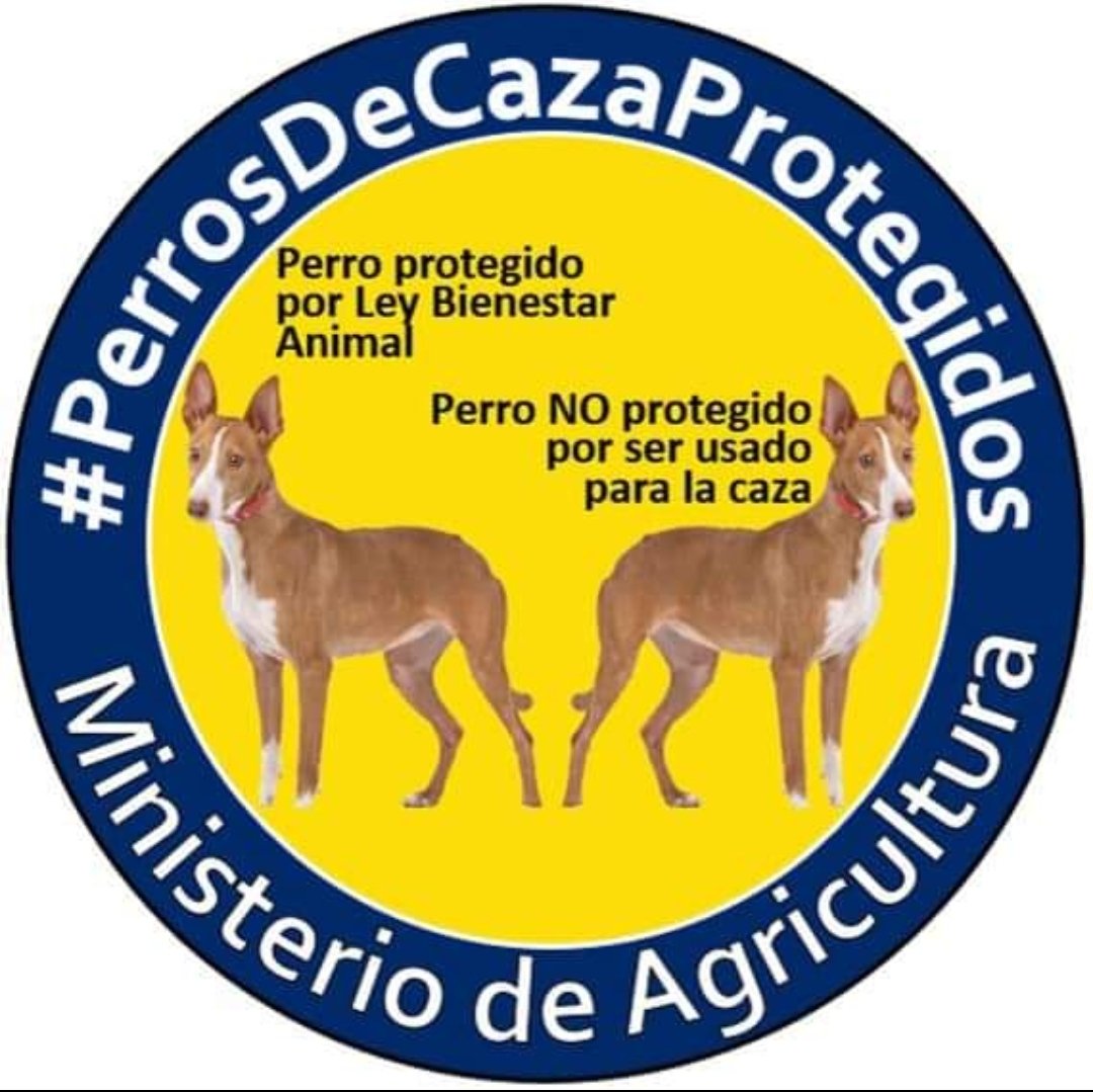 baenae87's tweet photo. NO A LA CRIA.
NO AL ABANDONO.
NO AL MALTRATO ANIMAL.

#PerrosDeCazaProtegidos
 #NoALaCaza
#MinisterioDeAgricultura
#PalabraDeARA https://t.co/PUoRfCH5lr