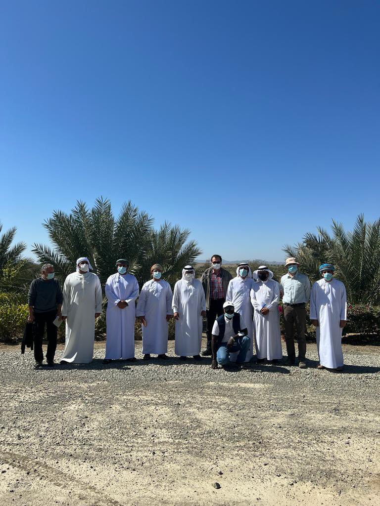 مزارع المليون نخلة tweet media