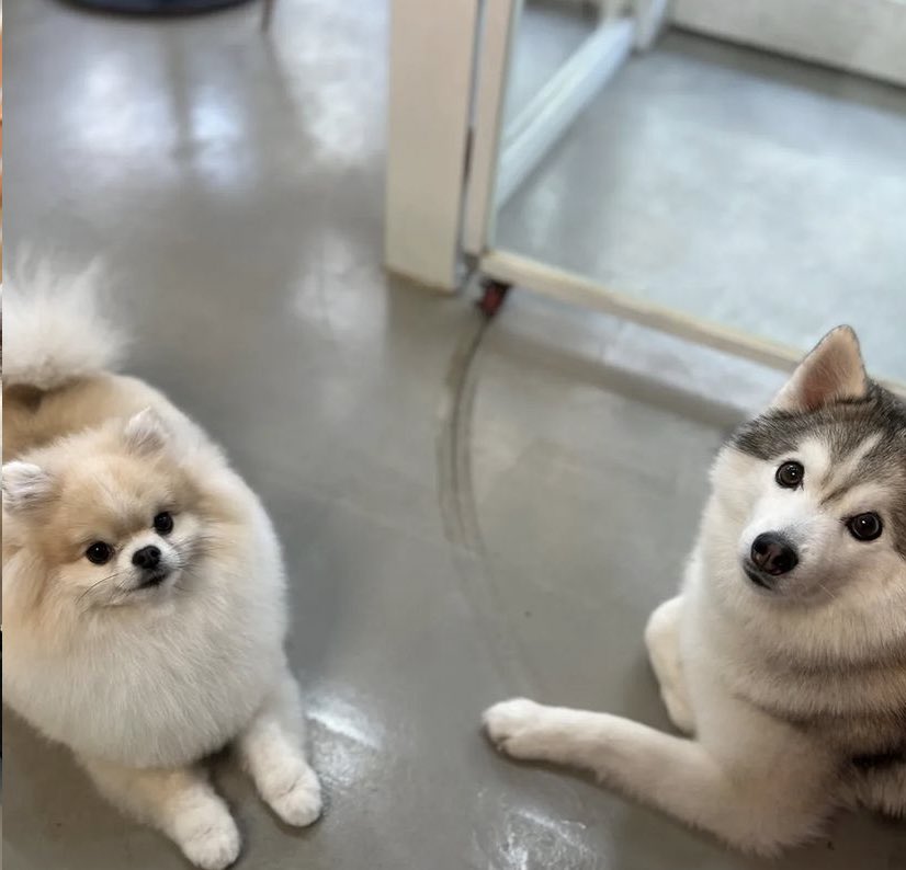 290122 | Kookeu's IG [1/2]

“Kookeu changed like this. Let's take a bath and have fun at home.”

#NAYEON #나연 #TWICE <a href="/JYPETWICE/">TWICE</a>