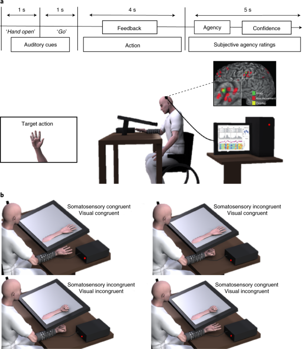 neuroraf's tweet photo. Sense of agency for intracortical brain–machine interfaces https://t.co/GRk74hcsr1 by @andrea__serino @ganzerlab @OrepicPavo @n_faivre @DoctorAliRezai , Olaf Blanke &amp; @CNP_EPFL 's team in @NatureHumBehav https://t.co/bQf7tHW3aS