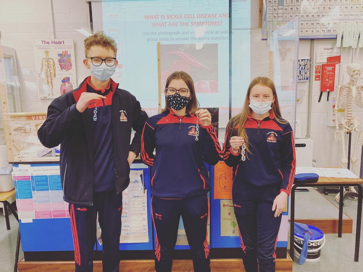 mountrathcs's tweet image. 🧬Super DNA keyrings made by our fantastic TY students that will make a colourful addition to any set of keys 🧬 #mcsscience #STEM