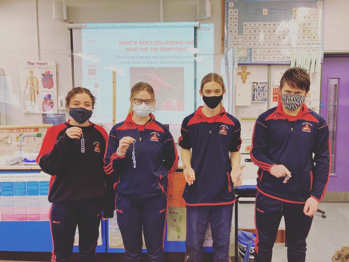 mountrathcs's tweet image. 🧬Super DNA keyrings made by our fantastic TY students that will make a colourful addition to any set of keys 🧬 #mcsscience #STEM