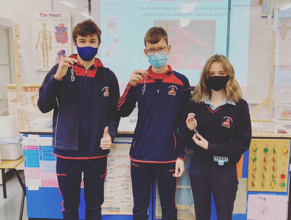 mountrathcs's tweet image. 🧬Super DNA keyrings made by our fantastic TY students that will make a colourful addition to any set of keys 🧬 #mcsscience #STEM