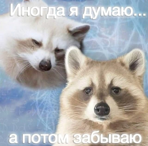Ужасные мемы (@so_mad_so_funny) on Twitter photo 