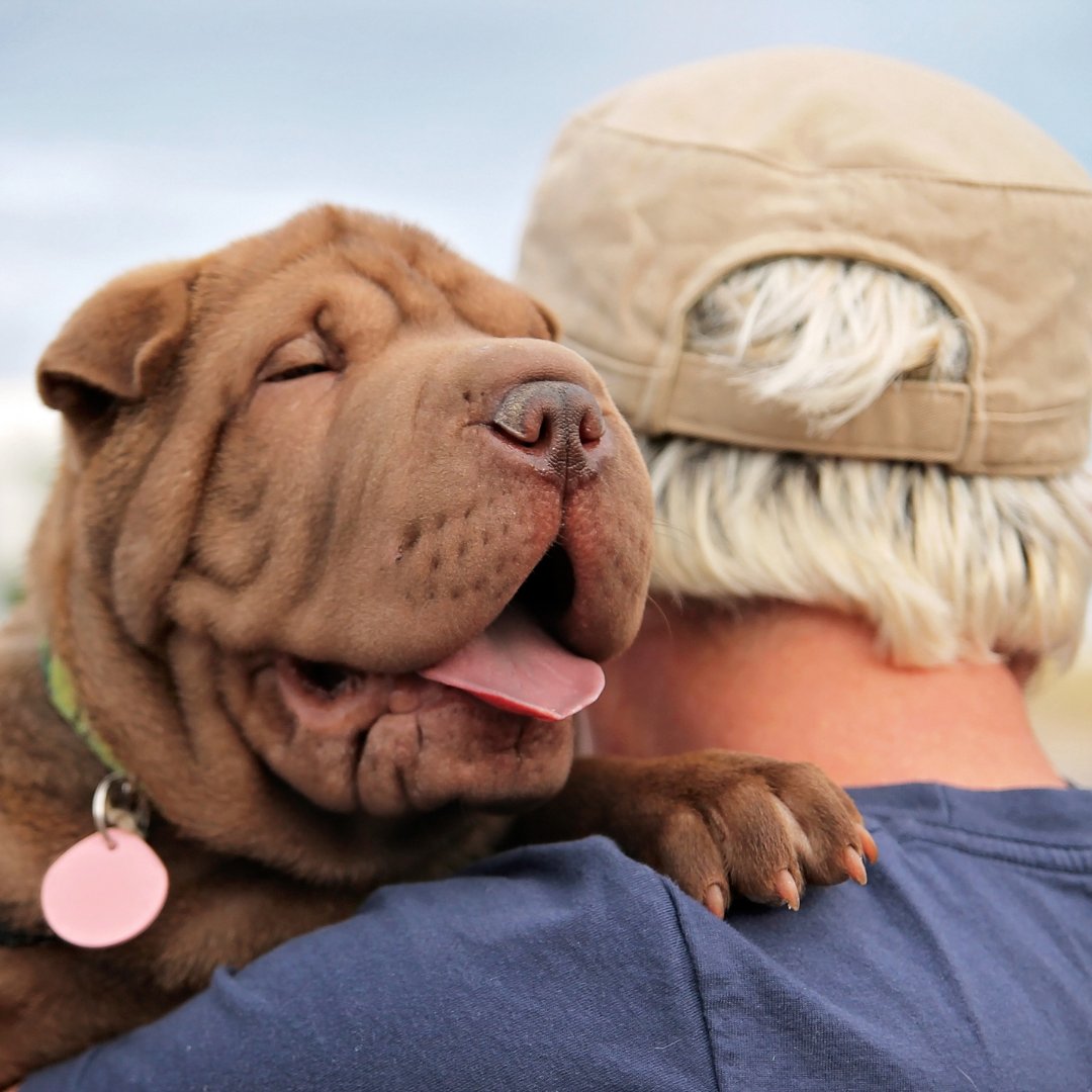 Toute l'équipe d'AYur-vana vous souhaite un excellent week-end 

#ayurvana #ayurveda #ayurvedic #weekend #chien #dog