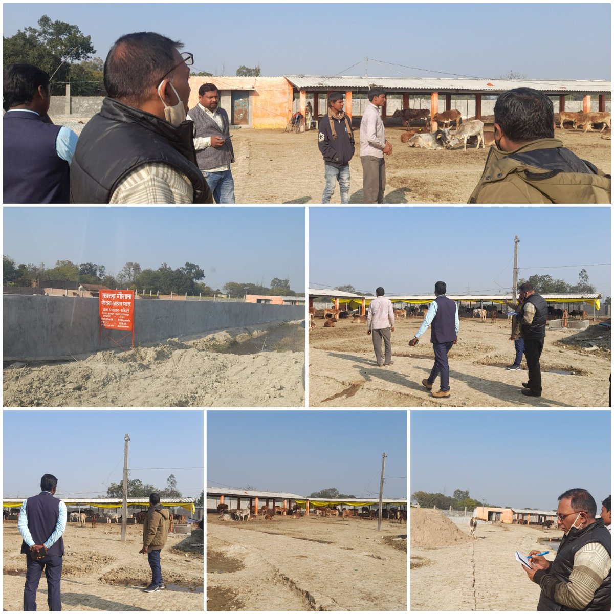 आज दिनांक 29 जनवरी 2022 को उपनिदेशक पंचायत प्रयागराज मंडल द्वारा जनपद प्रयागराज  के विकास खण्ड फूलपुर के कनहेटी ग्राम पंचायत की कान्हा गोवंश आश्रय स्थल का औचक निरीक्षण किया गया जिसमें मौके पर 87 पशु मिले तथा उनकी सुरक्षा एवं  चारा की व्यवस्था की गई है l