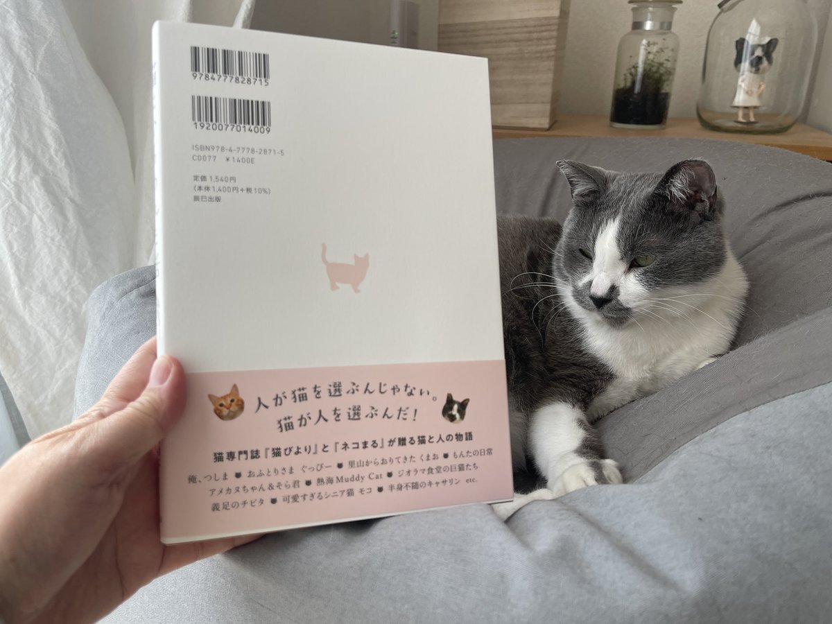 くまお Kumaokamako Twitter