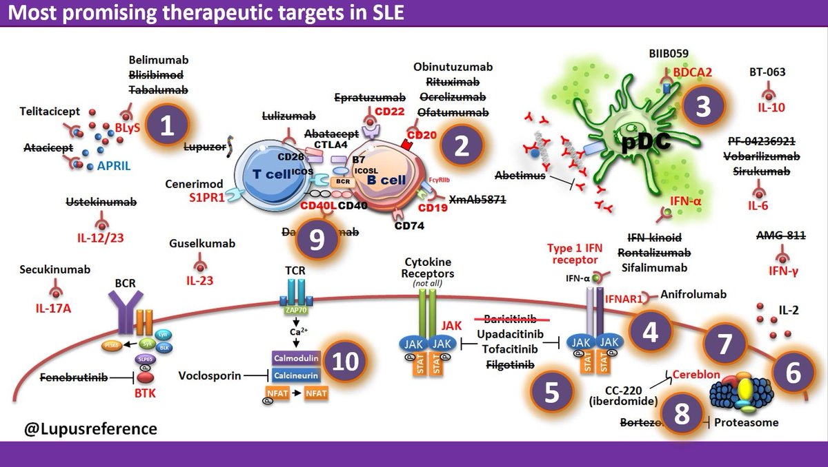 Lupusreference's tweet photo. Unfortunately forced to add a red line on #baricitinib in #lupus 😢
https://t.co/dSn88CcKM5 https://t.co/t94eIi4FZR