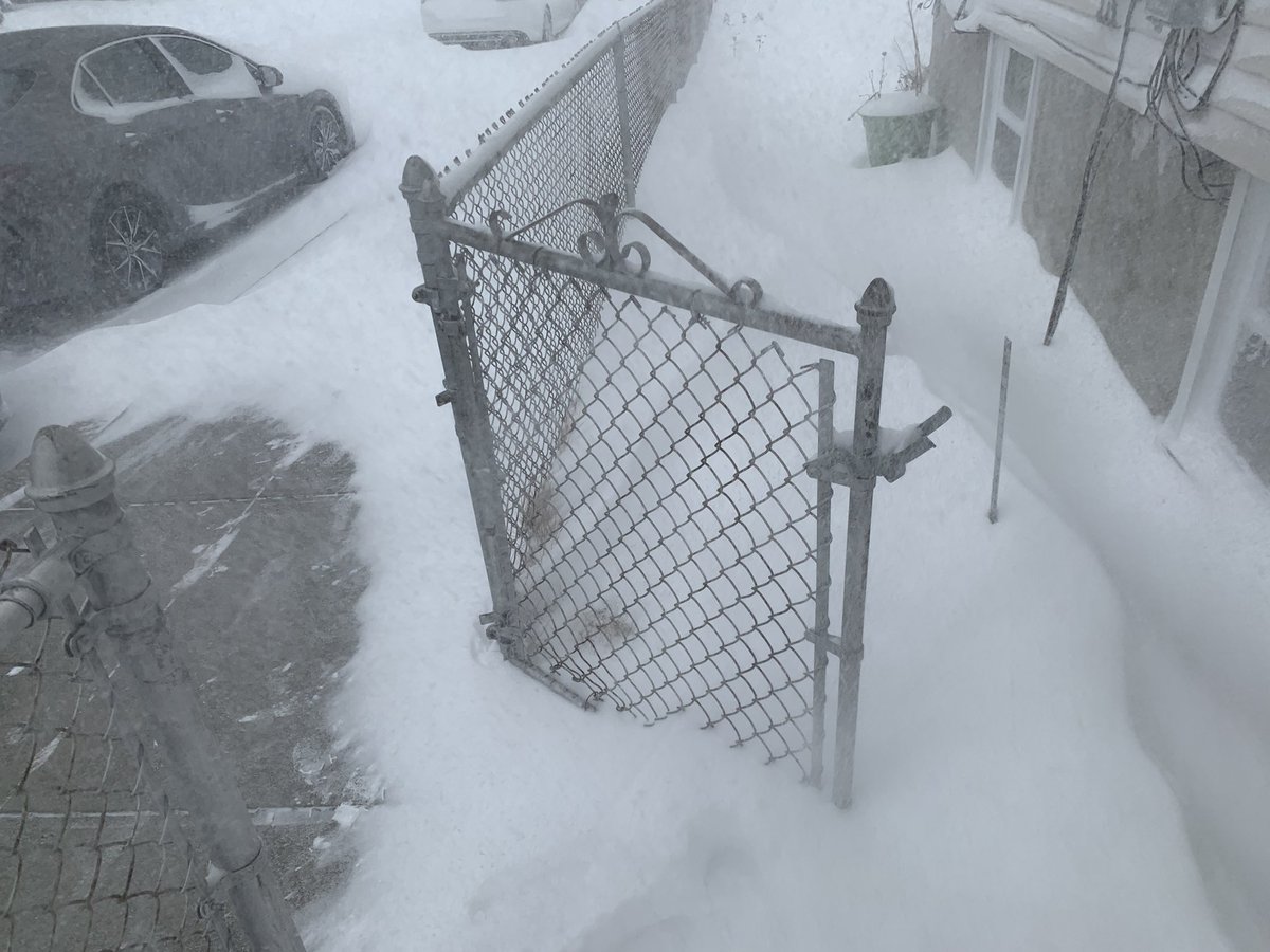 Kathy Beck tweet media