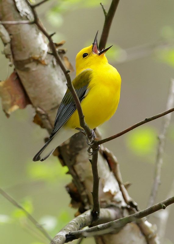 colors_7_'s tweet image. 