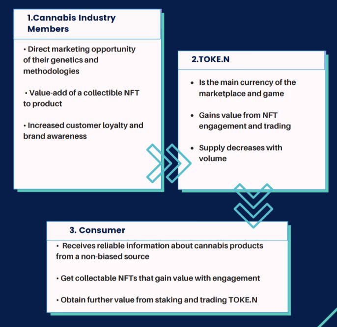 Underneath you can see a visual representation of the TOKE.N ecosystem.

We provide full transaparancy from seed to sale.

#BNBlegion #bnb #DeFi