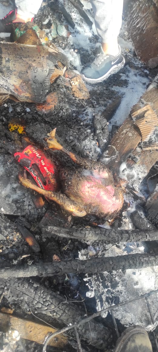 #CUENCA | Esta mañana se registró un incendio estructural en el sector de El Ejecutivo (Ricaurte). Destrucción total de una vivienda de construcción mixta (madera, ladrillo y bloque) se desconoce las causas.

Se atendió a 2 personas en lugar (mujer de 17 años y un hombre de 73).