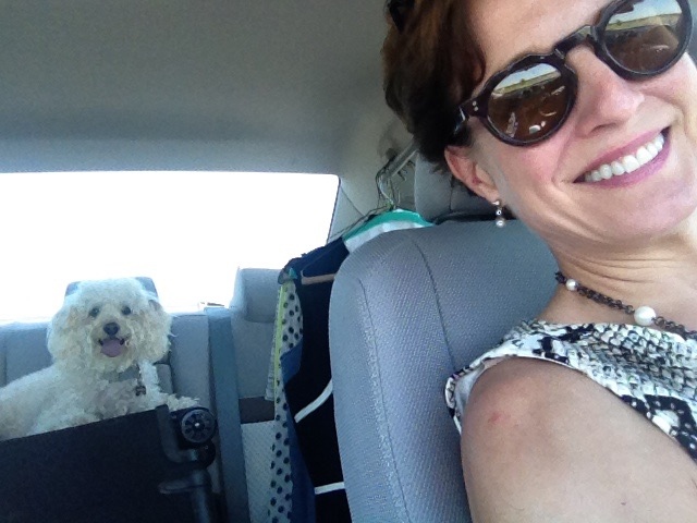Lynnelle's tweet photo. Just because I don't have human kids, it doesn't mean I don't leave part of my heart at home every time I travel. 

Every time he sees the suitcase, the Littlest Pablo goes to his sad place. This time packing, I'm hiding the suitcase. #LittlestPabloRuiz #ILoveMyDog #Furbaby https://t.co/blwes46jYE