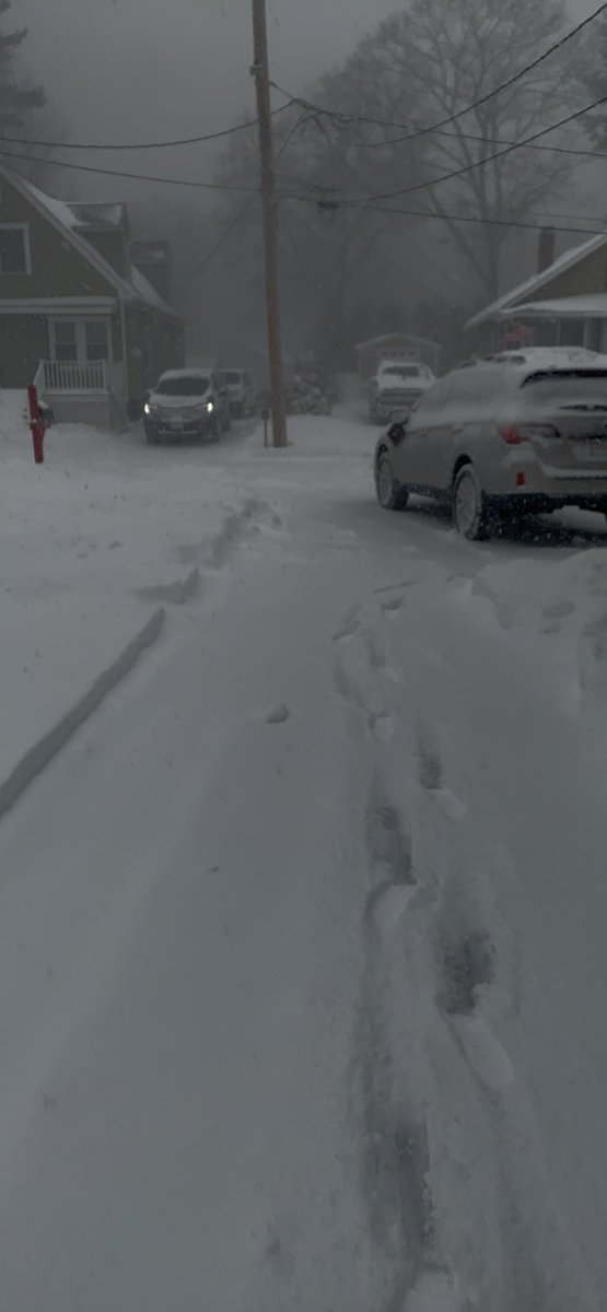 jeannieologist's tweet photo. When you shovel the driveway, then shovel a backyard trail for your dog to pee on, and you already could shovel the front again…anyone who hasn’t started shoveling yet in this #BoSnow #blizzard, you should get on it, cuz the temp is going to plummet this afternoon. https://t.co/tDlkMELtEO