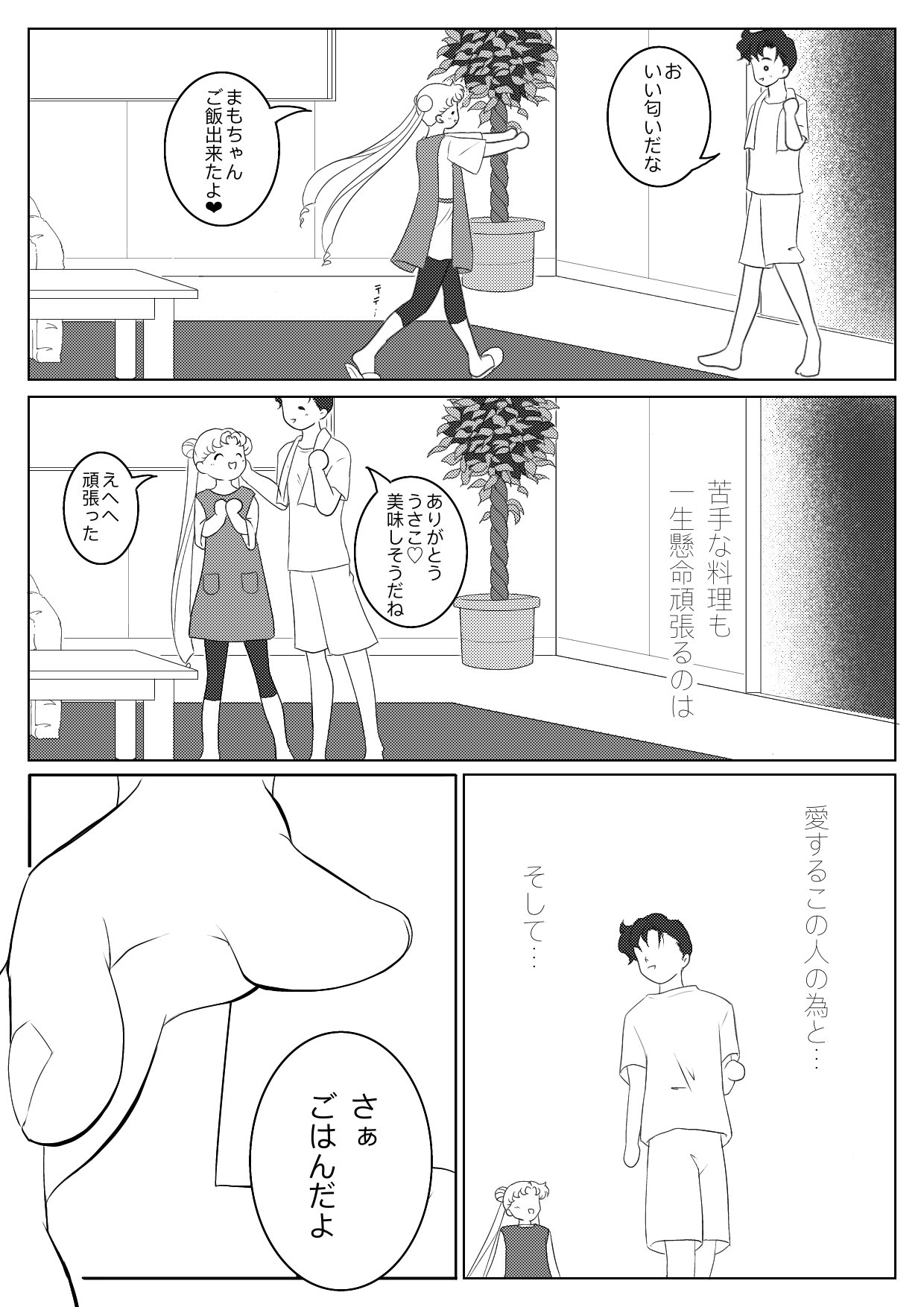 セーラームーン同人誌　衛×うさぎ　まもうさ ☆セーラームーン同人誌☆衛×うさぎ☆まもうさ☆