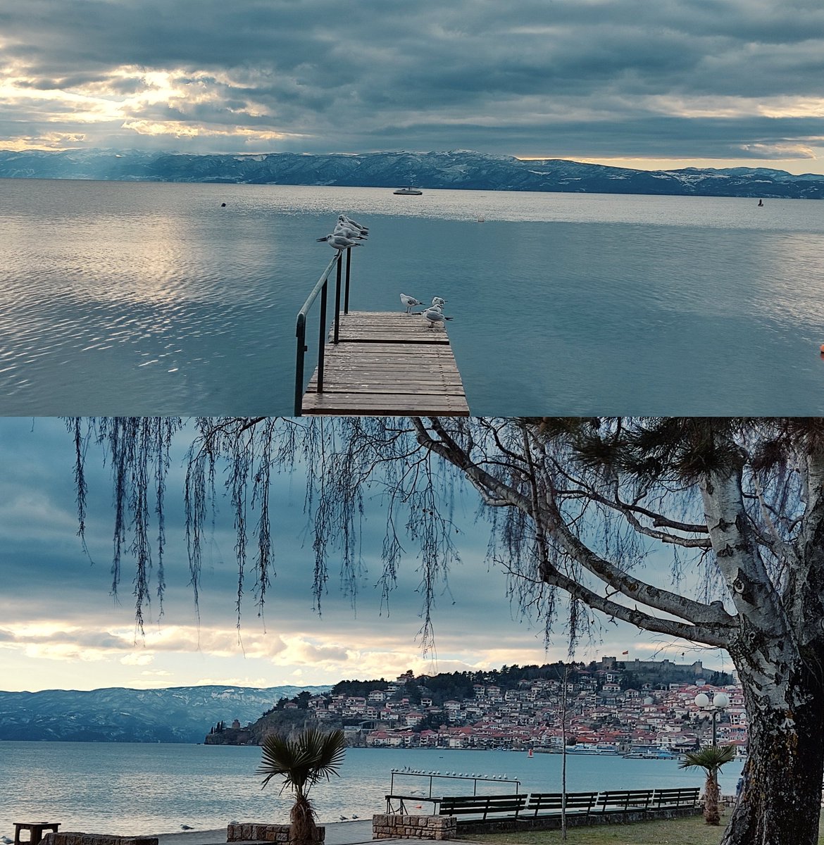 Енерџи ејнџел ✨ tweet media