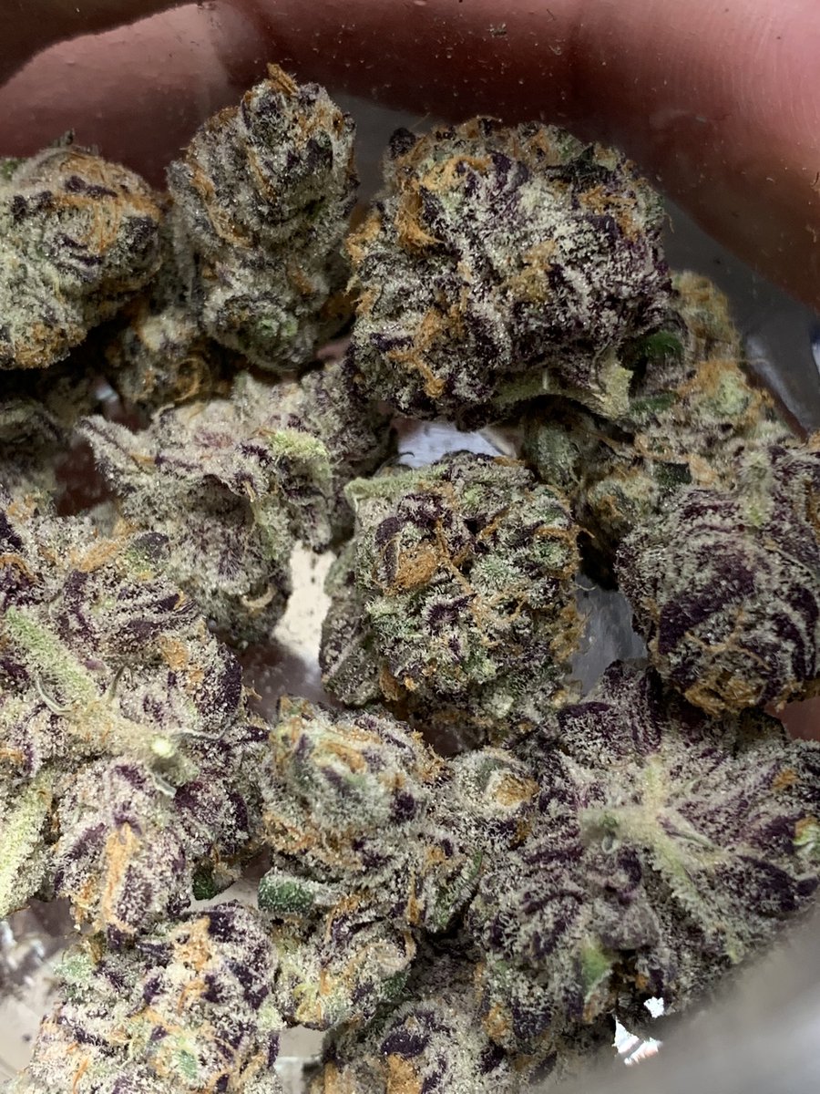 Platinum Grapes by Organicraft….Black Kettle, Cake and Caviar and Organicraft are the top 3 in legal Cannabis in my eyes. They are killing it !! We just need Black Kettle here in Alberta!!#legalweed #CannabisCommunity #cannabisindustry