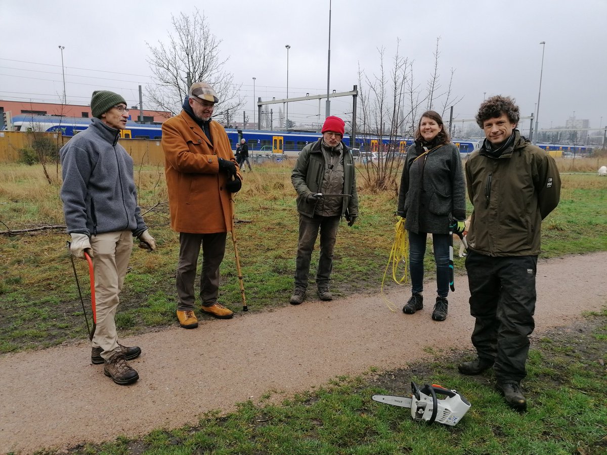 Zaterdagochtend snoeien vrijwilligers #willemskwartier het talud Spoorkuil Willemskwartier bij de Thijmstraat #nijmegen
