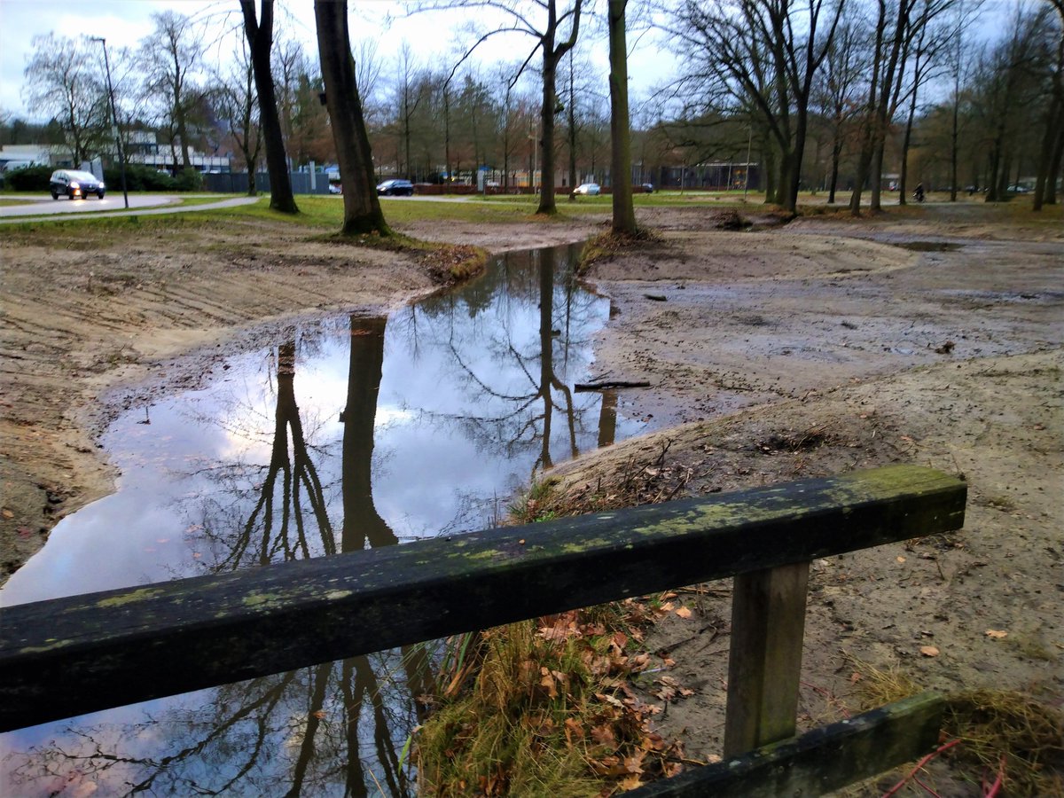 Echt heel mooi! Het #Breinpad op Landgoed De Grote Beek van <a href="/GGzE/">GGZE</a> (Eindhoven), met een inspirerende route van 4 km. Het Breinpad is "een leidraad en een uitnodiging om de helende omgeving van De Grote Beek te verkennen en ervan te genieten". #GroeneGGZ
ggze.nl/nieuws/2021-07…