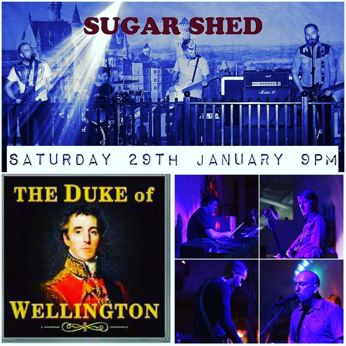 Sugar Shed tweet media