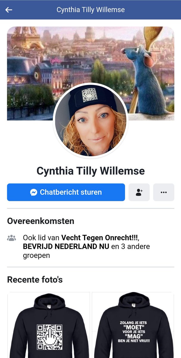 Lena van 🐴🐆🐅🐱🦝🦊🦁🐯 tweet media