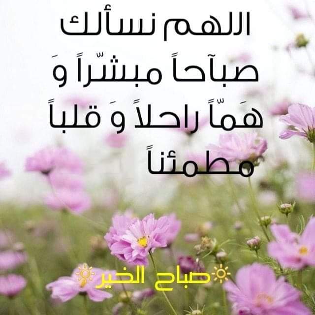 mhamoud218's tweet photo. https://t.co/8LjR9XXoVb