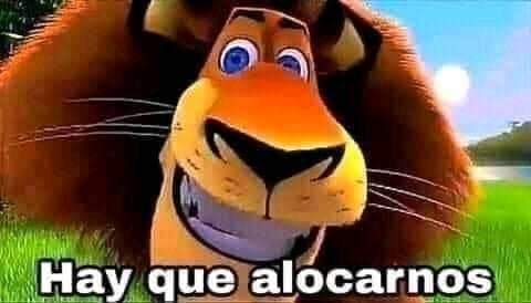 bataklanoide's tweet photo. Supuestamente murió Mia Khalifa
El de la morgue : https://t.co/cEEK6wwkMb