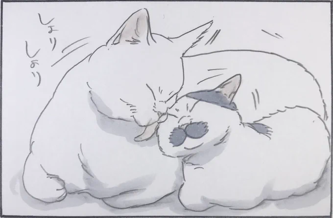 『お返しは結構です』 