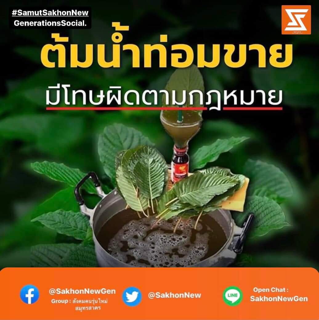 “กระท่อม” 🌱ขายต้นได้ 🌿ขายใบได้ แต่..ขายน้ำไม่ได้!! 
. 
ขอบคุณข้อมูลจาก : สำนักงานสอบสวนกลาง
.
จัดทำโดย : สังคมคนรุ่นใหม่สมุทรสาคร by Samut Sakhon New Generations Social 
.
Group Facebook : facebook.com/groups/3875526…