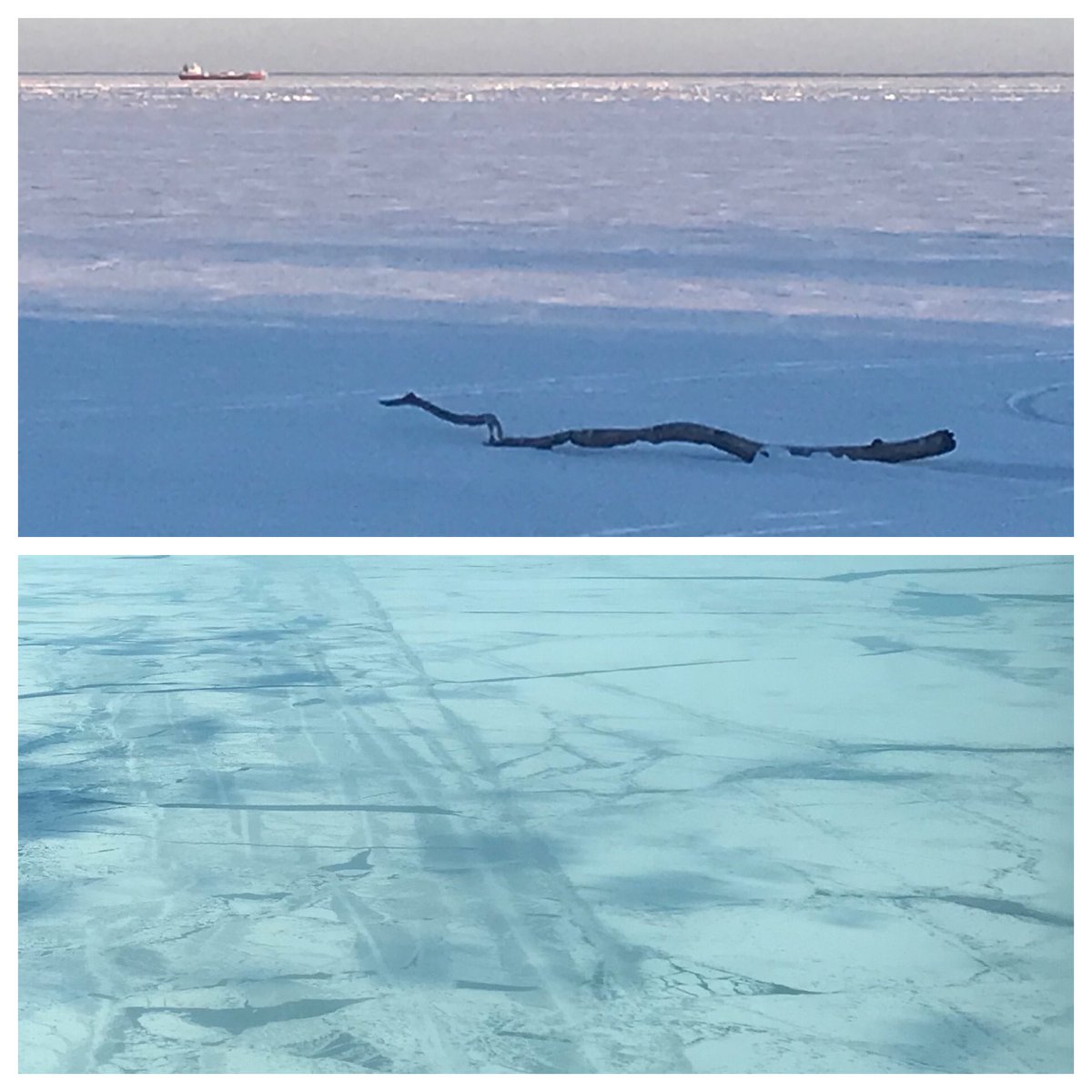 NorthEndNessie's tweet photo. Only two lake freighters passed by this week - both tankers heading to Nanticoke. Their straight line paths froze back up quickly. #PeleeIsland #Algonorth #Algocanada https://t.co/zf2GuABy0E