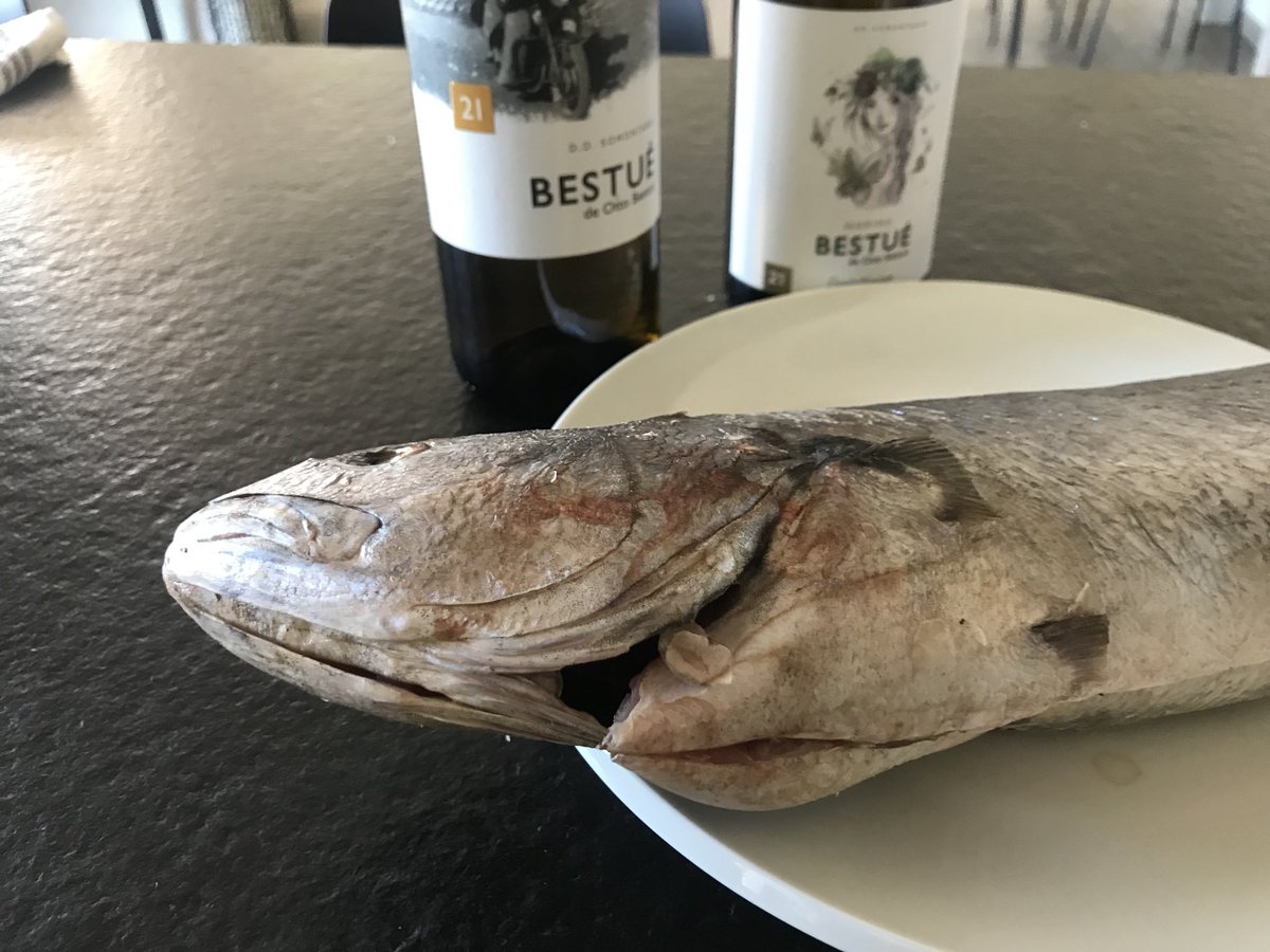 Xavier Ginesta 🎗 tweet media