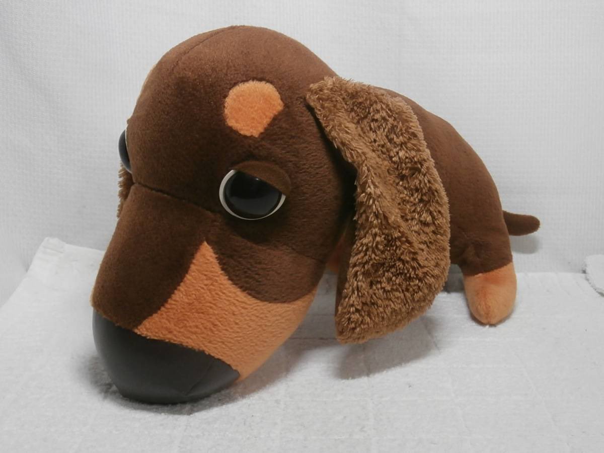 鼻でか犬 Twitter Search Twitter 鼻でか犬 Twitter Search Twitter