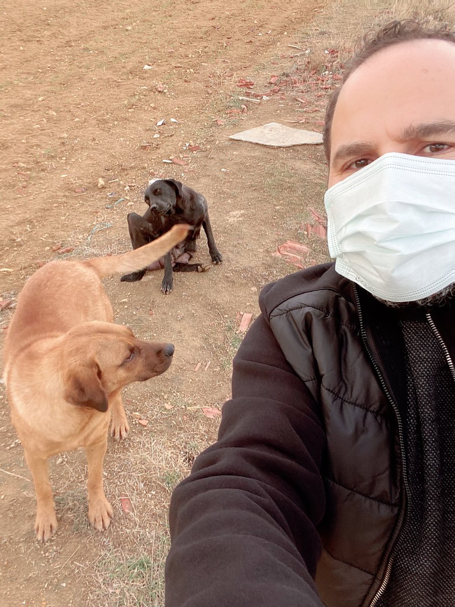Selamın aleyküm başkanım. Sadece barınaktan alınanlar değilde sokağımızda ve çevremizde sürekli beslediğimiz sessiz kullar içinde mama talep ediyoruz. Teşekkür eder,saygılar sunarım .<a href="/MuratKoseMamak/">Murat Köse 🇹🇷 🦩🚀🏹</a> <a href="/MamakBelediyesi/">T.C. Mamak Belediyesi</a> <a href="/haytap/">EGE</a> <a href="/hacikodernek/">Haçiko Derneği</a> <a href="/omurgedik/">Ömür Gedik</a>