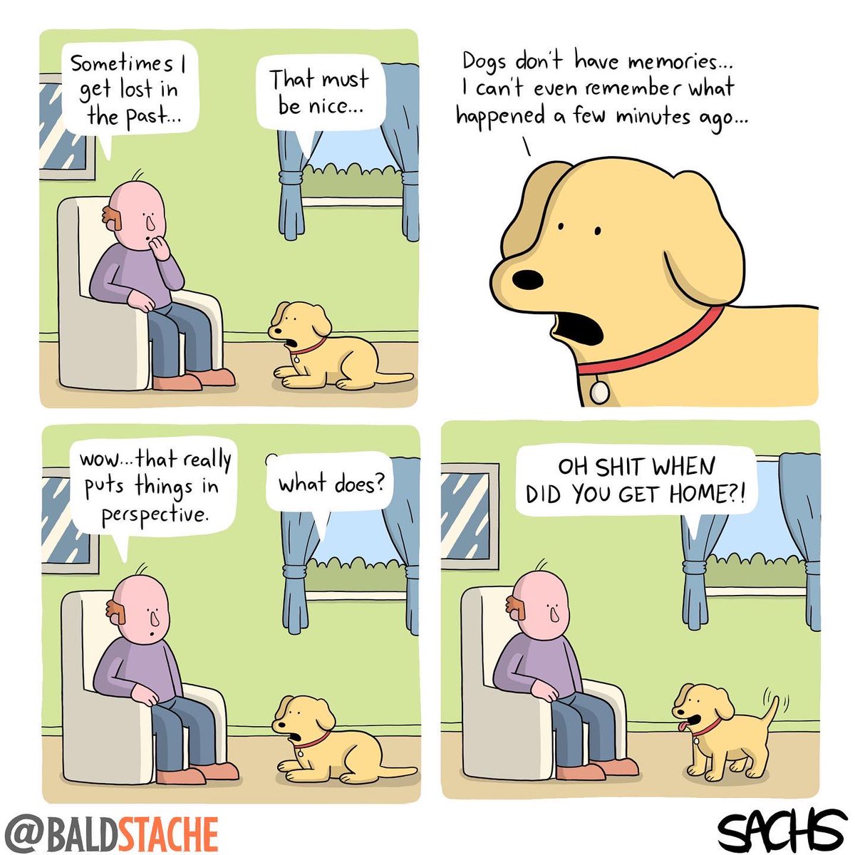 remember that #dog #memory #comic #funny