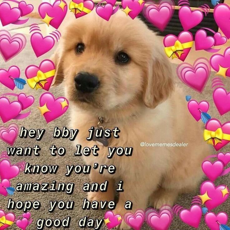 tl <3