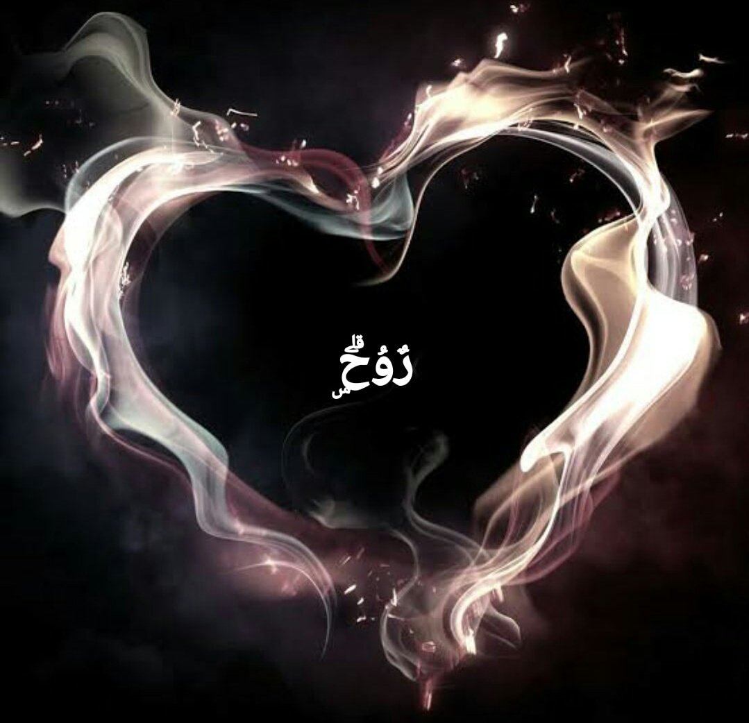 ولك في قلبـ💕ـي عرش لايجلس عليه سواك
تحرسه آلآف النبضات
ولك في رووحي مكان لايعرفه أحد
قدنفترق وقد نرحل
وقد لانلتقي أبداً
لكن
يبقى رجع صداك في داخلي للأبد
واعلم
أن ليس الإعجاز أن نحب
إنما الإعجاز
أن يزداد الحـ💕ـب رغم البعد
نلتقى
أو لانلتقى
أنت فى حفظ الله
وفى قلبى أنا
أيها الحبيب