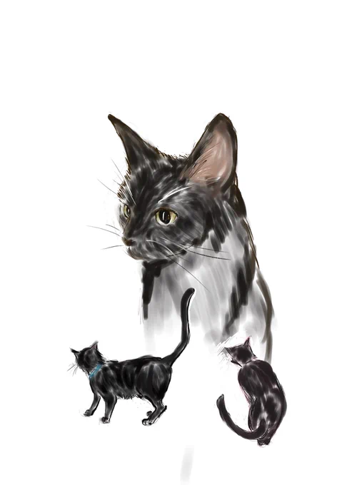 黒猫ジョージ