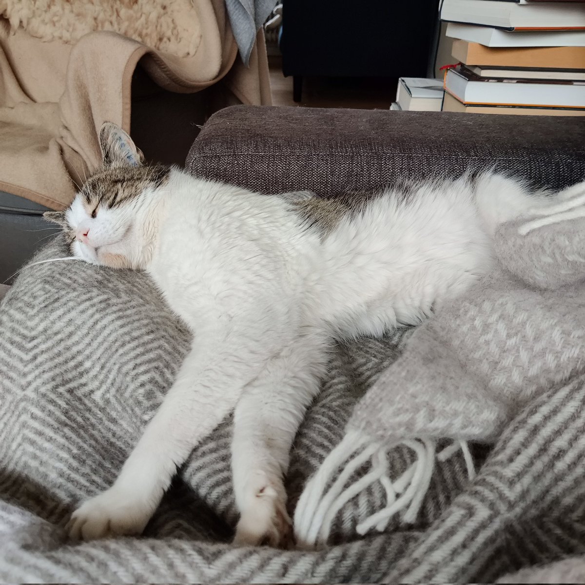 Hylemaskine's tweet photo. Ude godt, inde bedst. Jeg elsker inde. https://t.co/zA078ZkR9V