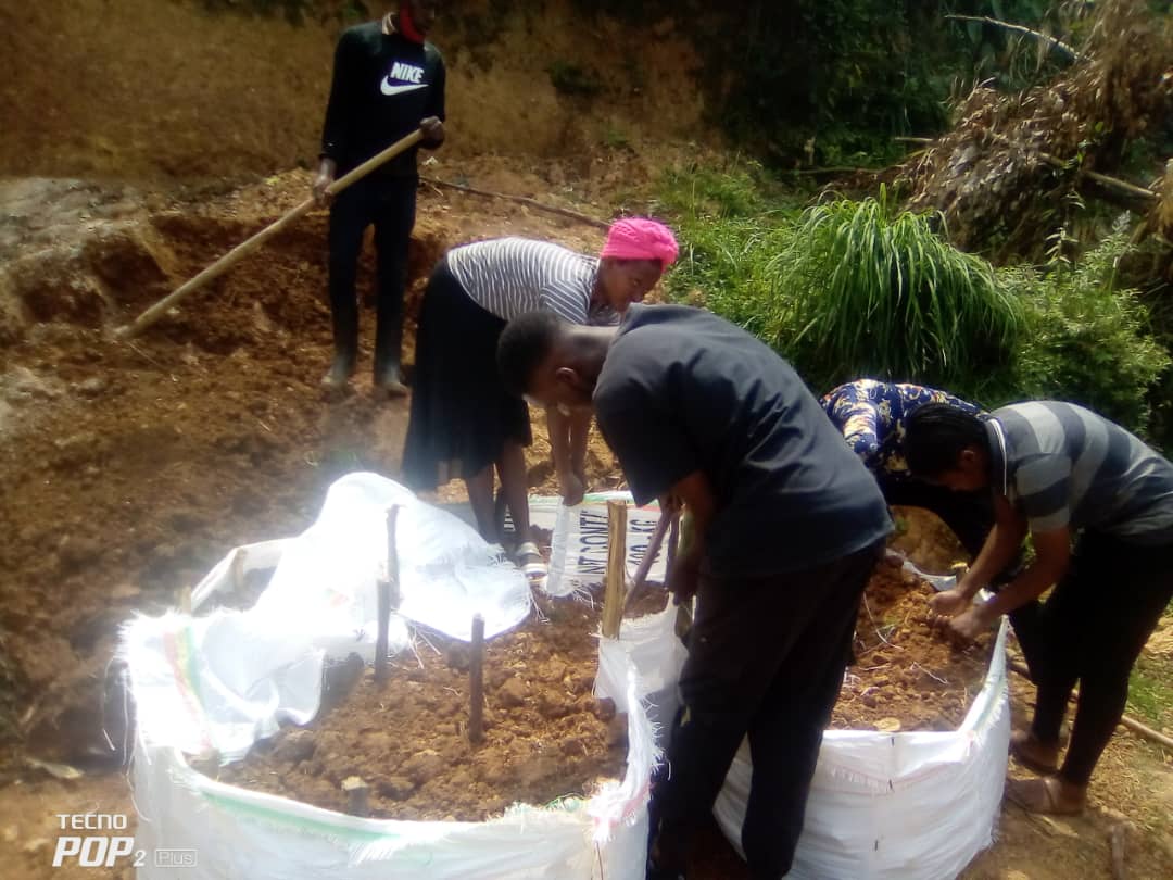 UTAB_BYUMBA (@utab_byumba) on Twitter photo Comme c'était prévu dans le cadre de la semaine des héros nationaux, les étudiants de l'UTAB sont en pleine élaboration des jardins potagers pour la population de Byumba Sector. A peu près 14 jardins seront élaborés. <a href="/in_utab/">study in UTAB</a> <a href="/veddy250/">Vedaste🇷🇼</a> <a href="/GicumbiRpf/">RPF Gicumbi District</a> <a href="/Byumbasector1/">BYUMBA SECTOR, Gicumbi District</a> <a href="/GicumbiDistrict/">Gicumbi District</a> Comme c'était prévu dans le cadre de la semaine des héros nationaux, les étudiants de l'UTAB sont en pleine élaboration des jardins potagers pour la population de Byumba Sector. A peu près 14 jardins seront élaborés. <a href="/in_utab/">study in UTAB</a> <a href="/veddy250/">Vedaste🇷🇼</a> <a href="/GicumbiRpf/">RPF Gicumbi District</a> <a href="/Byumbasector1/">BYUMBA SECTOR, Gicumbi District</a> <a href="/GicumbiDistrict/">Gicumbi District</a>