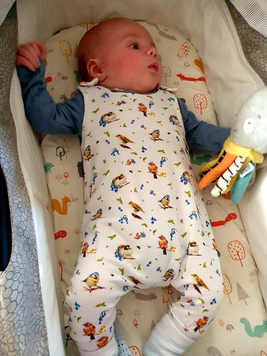 rhythmoftime's tweet image. Baby Kieran all set for #BigGardenBirdWatch2022 #rspbni 😀