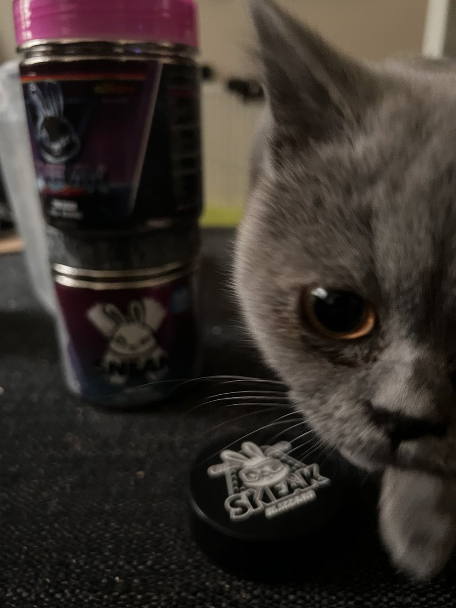 pigpogm's tweet photo. What the puck? @SneakEnergy https://t.co/2DTI3Sb1J1