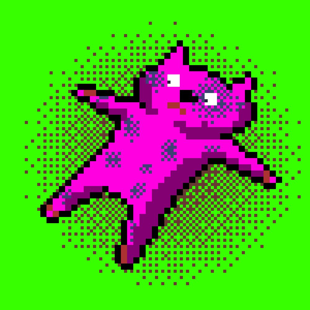 Relaxed Cat😸 tweet media