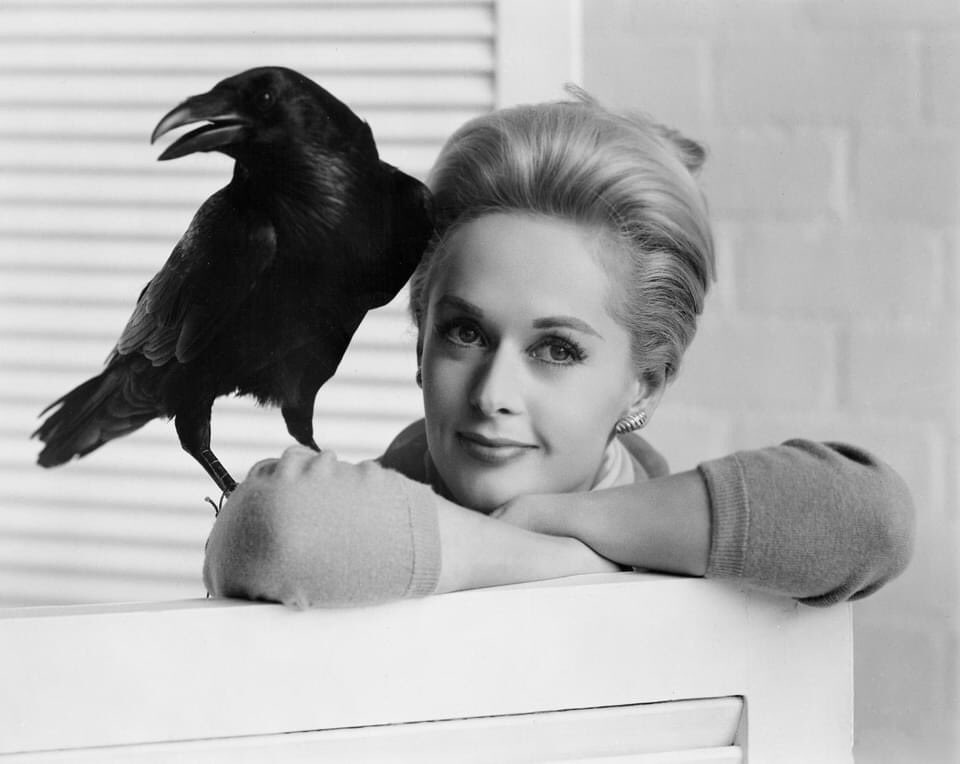 1. Tippi Hedren in a publicity photograph for her film, The Birds (1963). p...