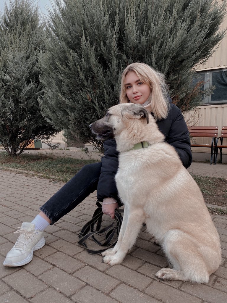 o_kolerova's tweet photo. Dog-friendly - тренд, который начинает набирать оборот в Москве
⠀
Жители Москвы и специалисты-кинологи неоднократно указывали на существующие проблемы, и в этой связи в 2021 году  был запущен проект «Питомцы Москвы». https://t.co/aNP8TqsOWY