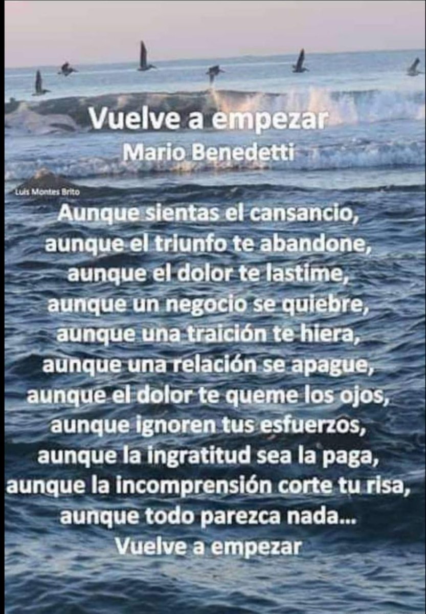 aglezramirez's tweet photo. https://t.co/S77O1S67wS