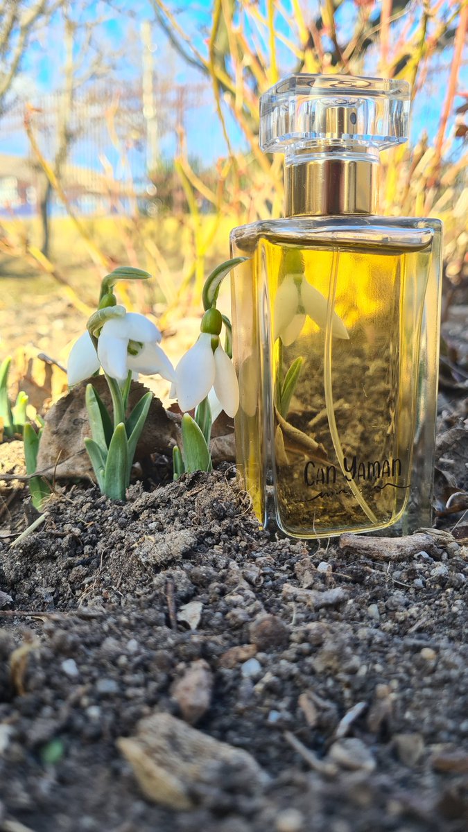 Spring already?
#MyMania #maniastyle
<a href="/canyaman1989/">Can Yaman</a> <a href="/canyamanmania/">can yaman mania official</a> #CanYamanForChildren 
From Romania, with love!