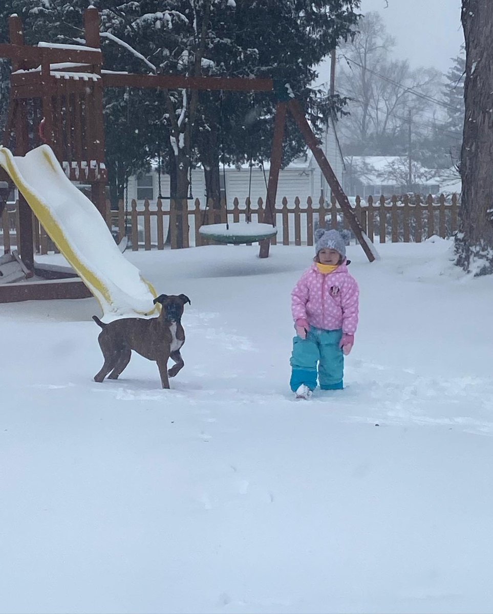 lilbRaleigh33's tweet photo. @NBCPhiladelphia Addie and Dutch enjoying the snow in Delran, NJ! Still falling pretty decently! https://t.co/Ffi296k5wa